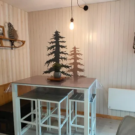 Studio Rdc 4-5 Pers Pied Des Pistes Saint-Michel-de-Chaillol Exterior photo